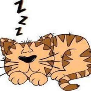 Meet your Posher, Patty